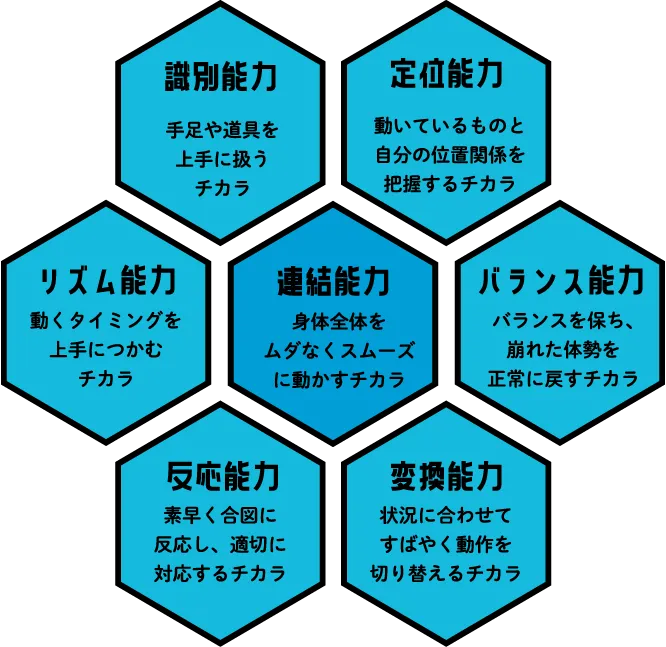 7つのコーディネーション能力の図